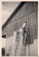 AJ329b