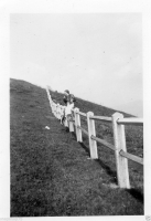 AK008