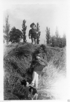 AK206