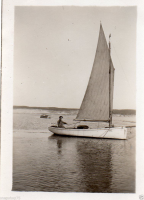 AK220
