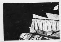 AK312