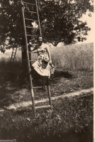 AK338b
