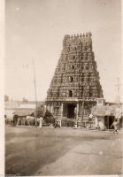 AL013
