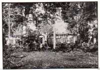 AL139