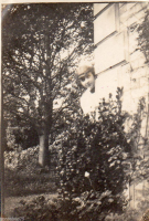 AL483