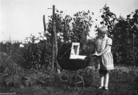 AL545