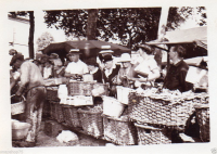 AL566