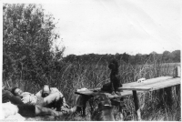 AL686