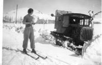 AL719