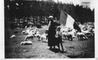 AL750