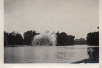 AL863