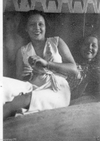 AM231