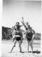 AM238