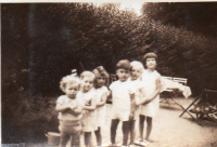 AM253