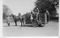 AM254