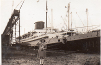 AM295