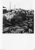 AM345