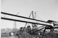 AM366