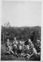 AM380