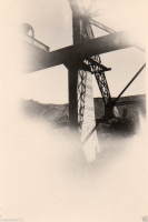 AM426