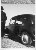AM461
