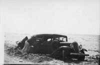 AM501