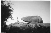 AM508
