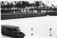 AM547