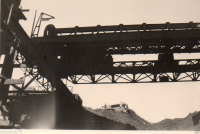 AM553