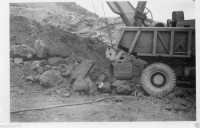 AM557b