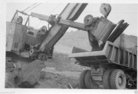 AM566