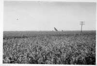 AM570