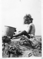 AM679