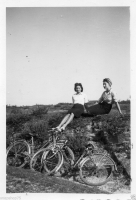 AM687