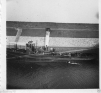 AM769