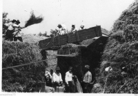 AM894