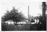 AM990