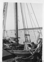 AN022