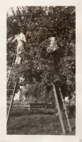 AN190