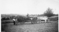 AN236