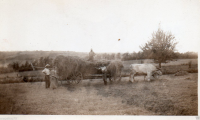 AN238