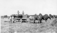AN289
