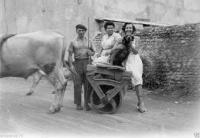 AN526