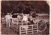AN662