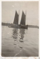 AN682