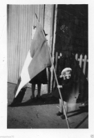 AO011