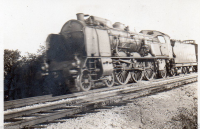 AO049