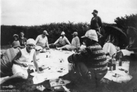 AO135