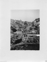 AO436