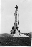 AO445